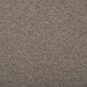 Satinwood